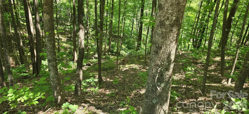Lot 22B Pinnacle Parkway Union Mills, NC 28167