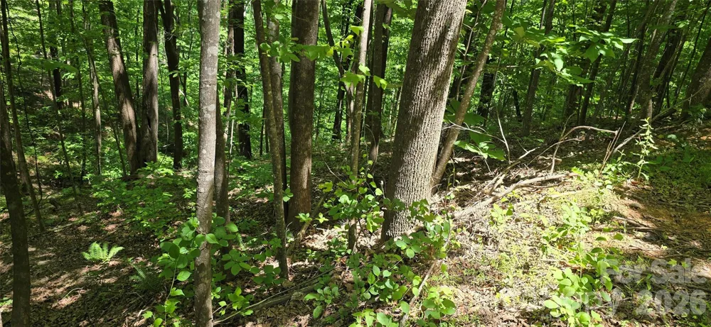 Lot 22B Pinnacle Parkway Union Mills, NC 28167