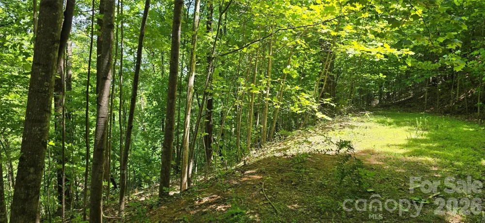 Lot 22B Pinnacle Parkway Union Mills, NC 28167
