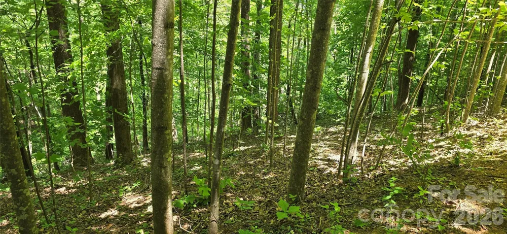 Lot 22B Pinnacle Parkway Union Mills, NC 28167