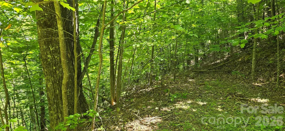 Lot 22B Pinnacle Parkway Union Mills, NC 28167