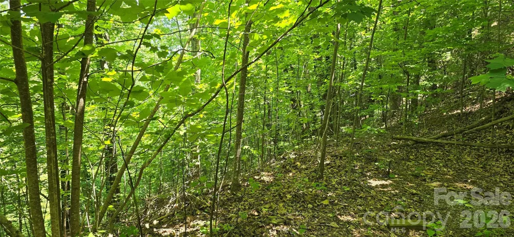 Lot 22B Pinnacle Parkway Union Mills, NC 28167