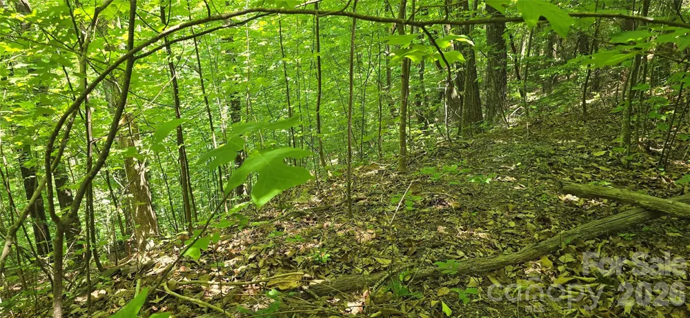 Lot 22B Pinnacle Parkway Union Mills, NC 28167