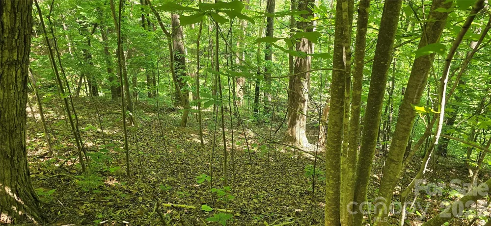 Lot 22B Pinnacle Parkway Union Mills, NC 28167