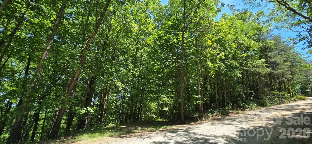 Lot 22B Pinnacle Parkway Union Mills, NC 28167
