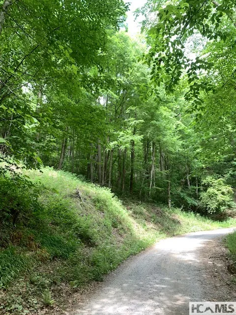 0 Little Ellijay Road