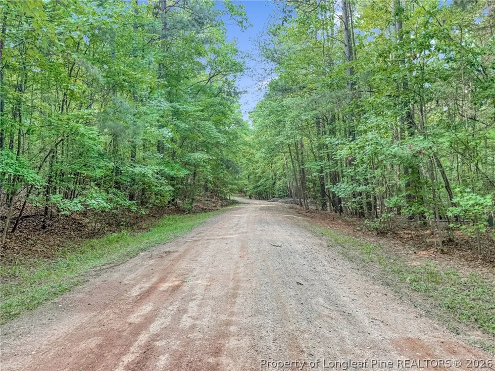 122 Palomino Rd Road Carthage, NC 28327