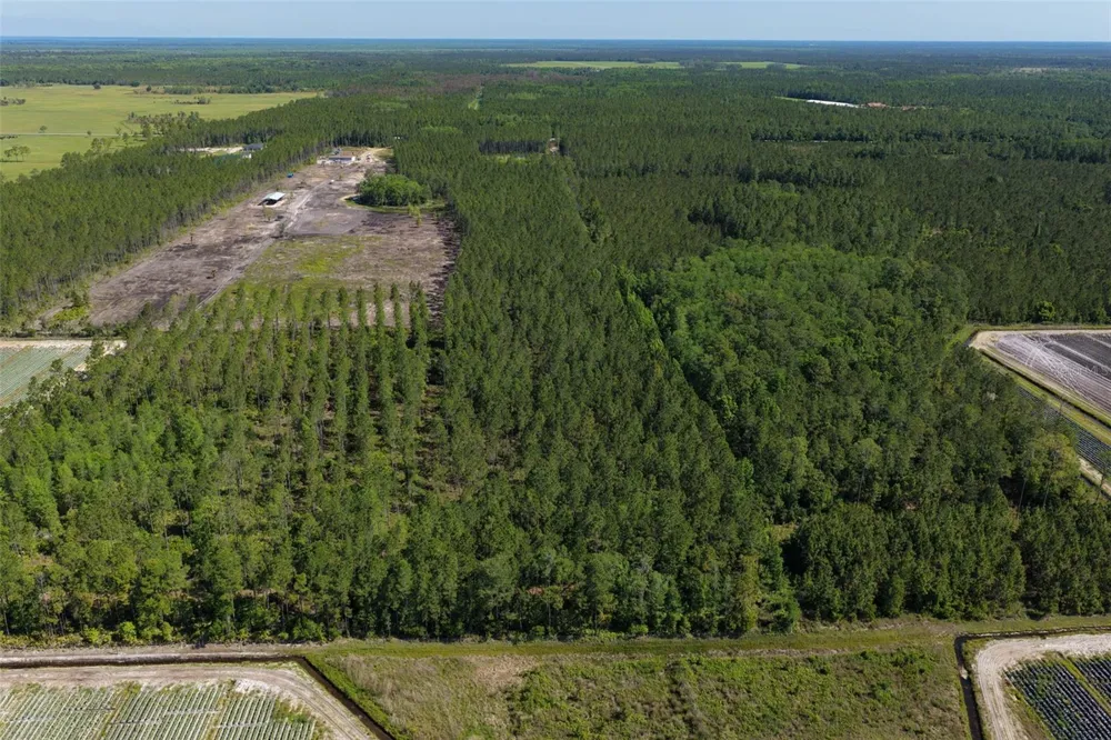 15539 COUNTY RD 305 Bunnell, FL 32110