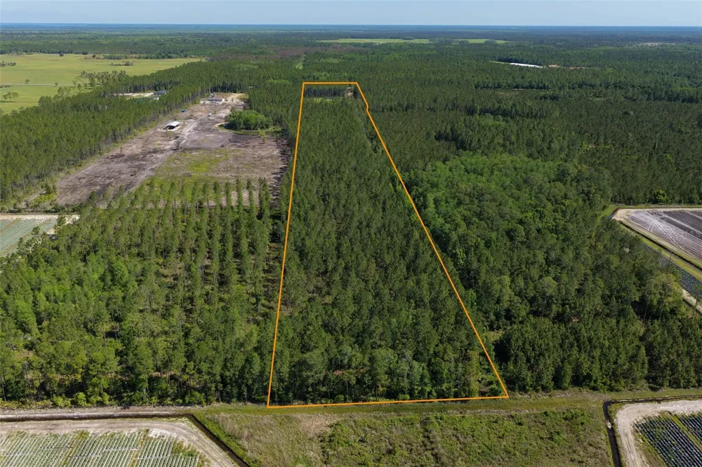 15539 COUNTY RD 305 Bunnell, FL 32110