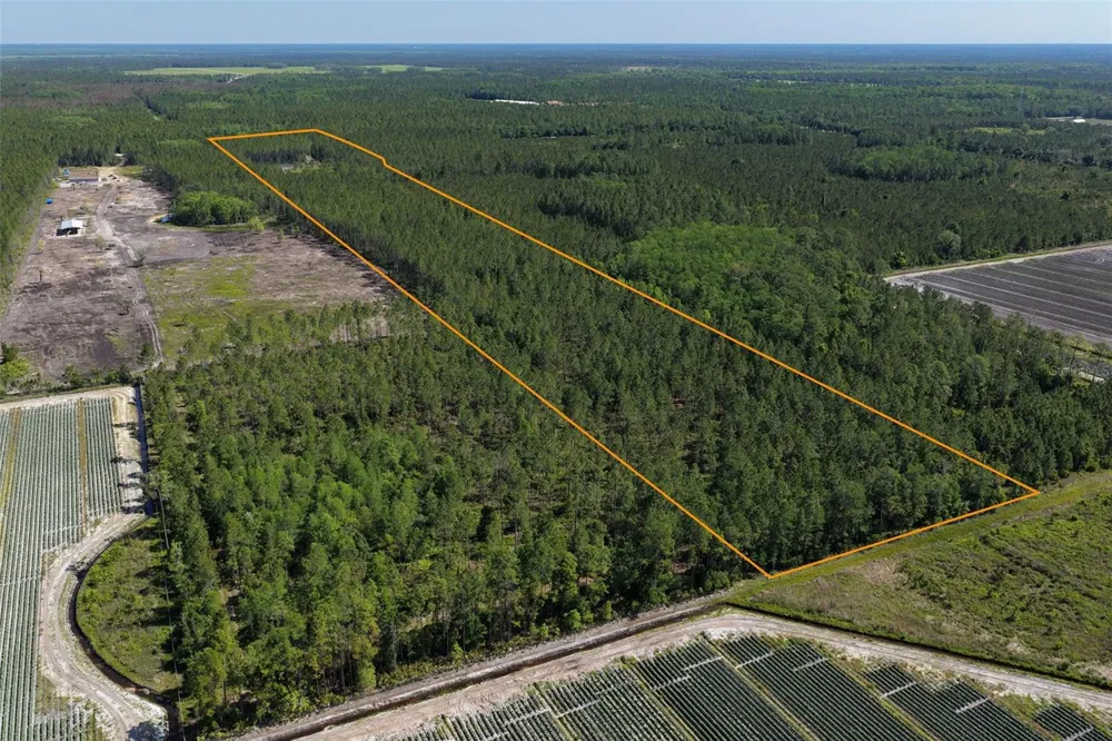 15539 COUNTY RD 305 Bunnell, FL 32110