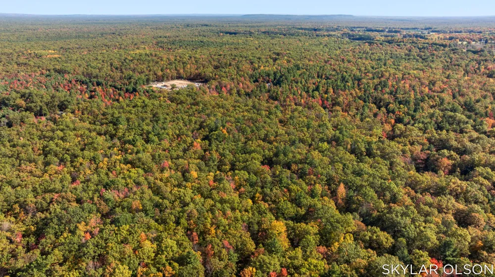 10711 Tuttle Road Free Soil, MI 49411