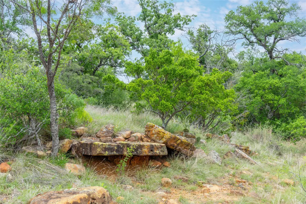 182 County Road 430 Road Mullin, TX 76864