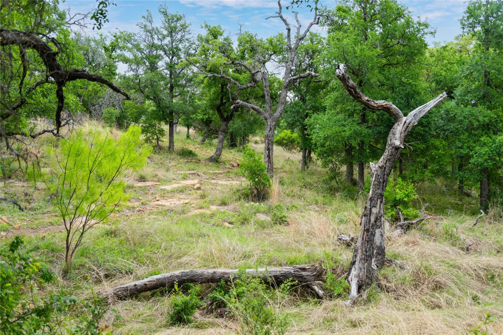182 County Road 430 Road Mullin, TX 76864
