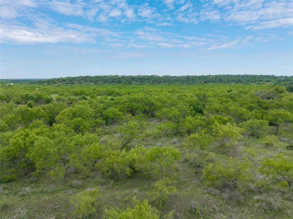 182 County Road 430 Road Mullin, TX 76864