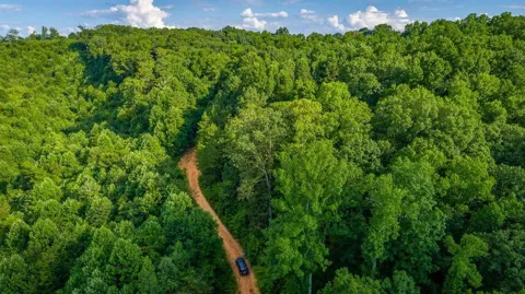 359 County Road 4