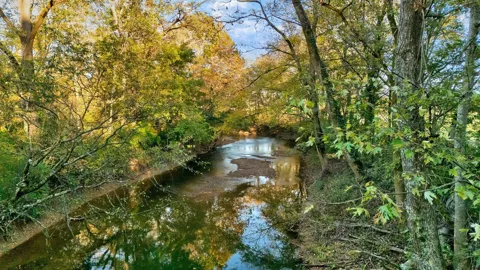 0 Southall Rd Tract 2