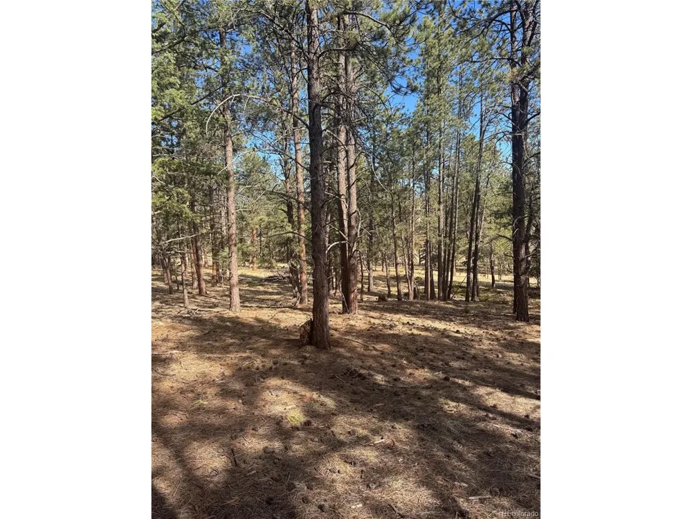 642 Matterhorn Drive Florissant, CO 80816