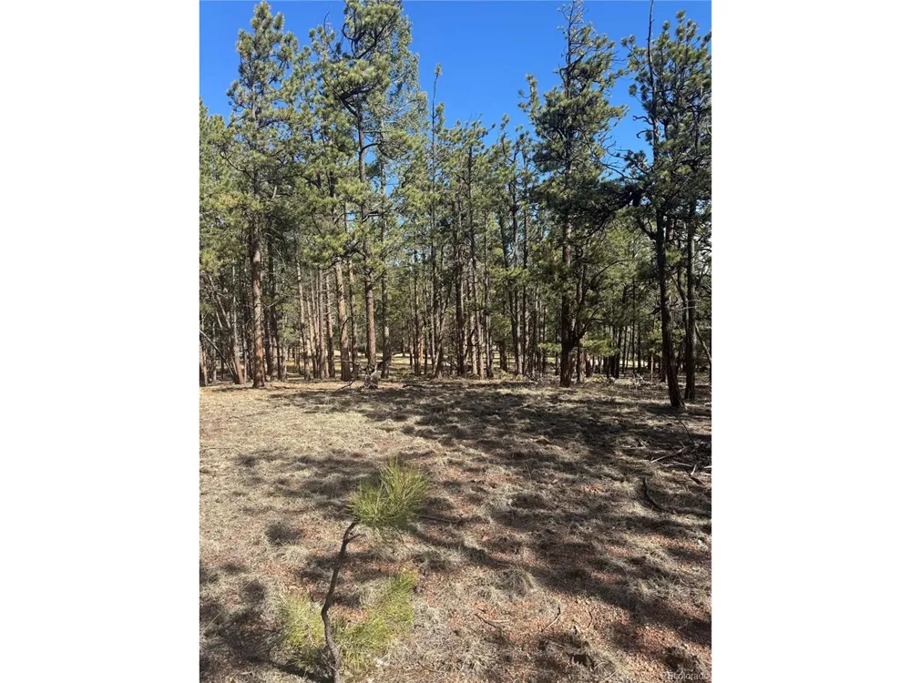642 Matterhorn Drive Florissant, CO 80816
