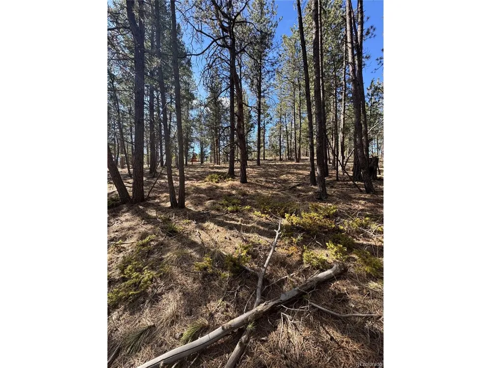 642 Matterhorn Drive Florissant, CO 80816
