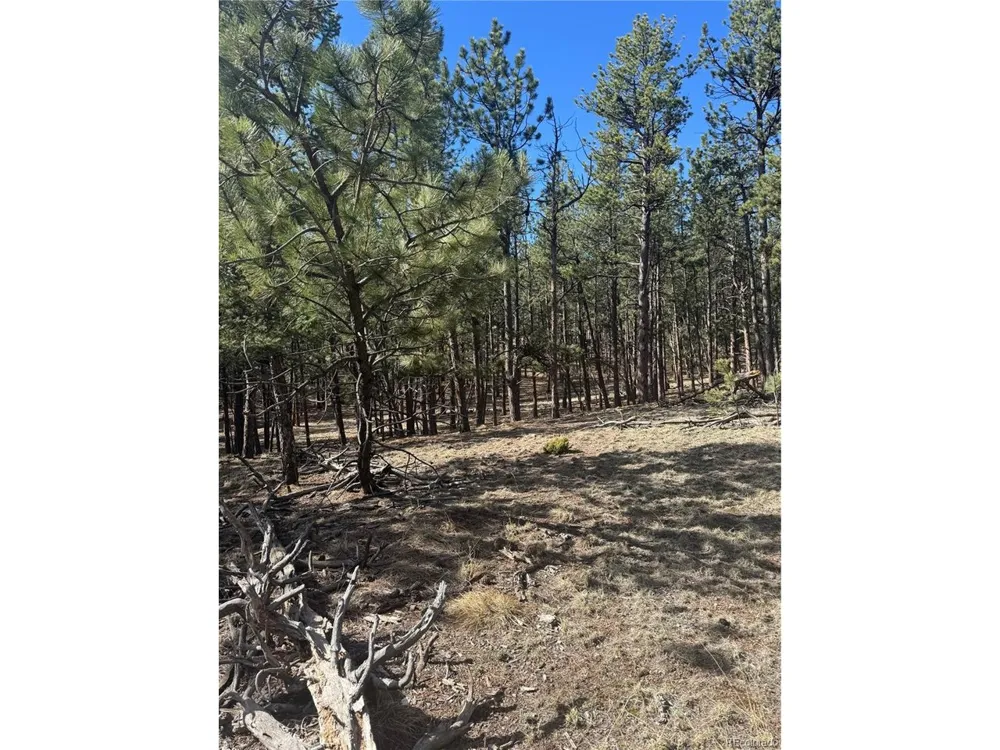 642 Matterhorn Drive Florissant, CO 80816
