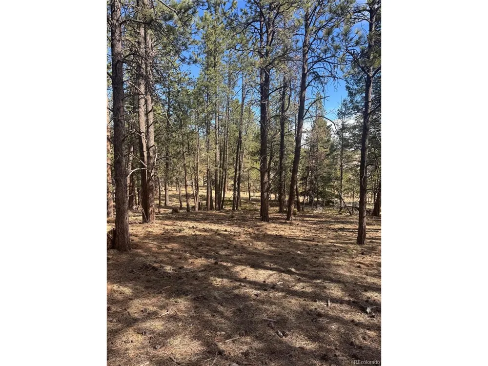 642 Matterhorn Drive Florissant, CO 80816