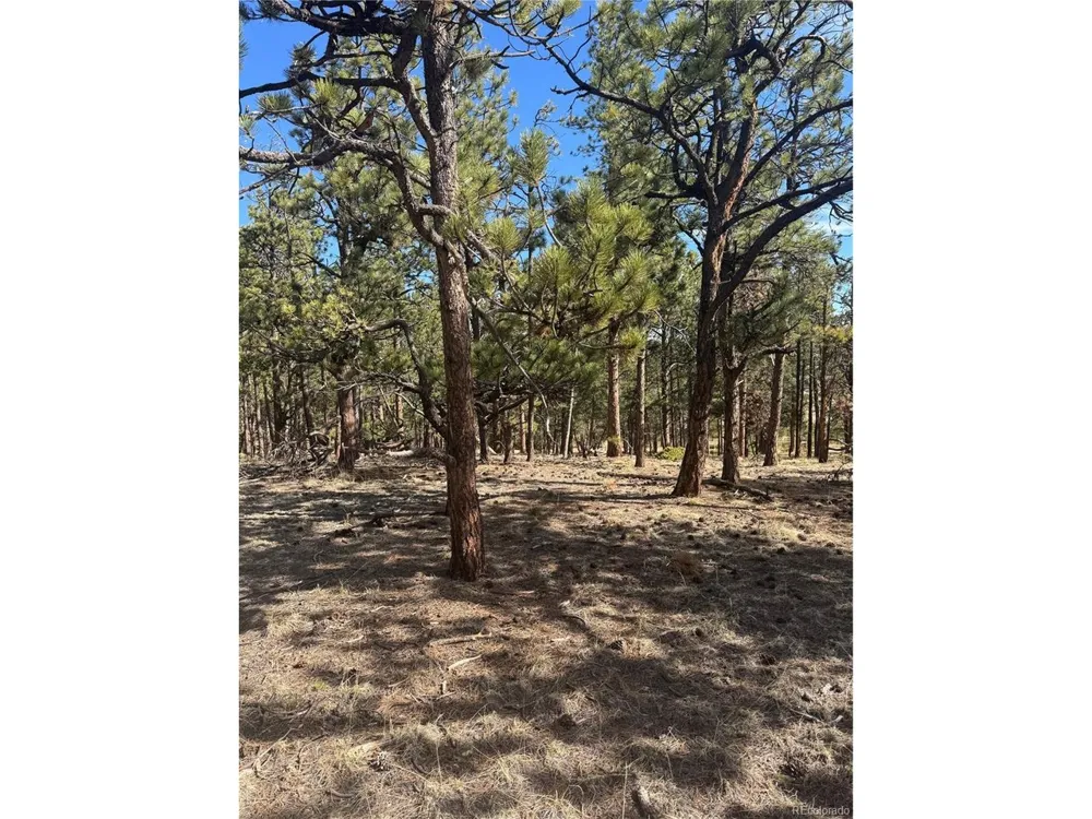642 Matterhorn Drive Florissant, CO 80816