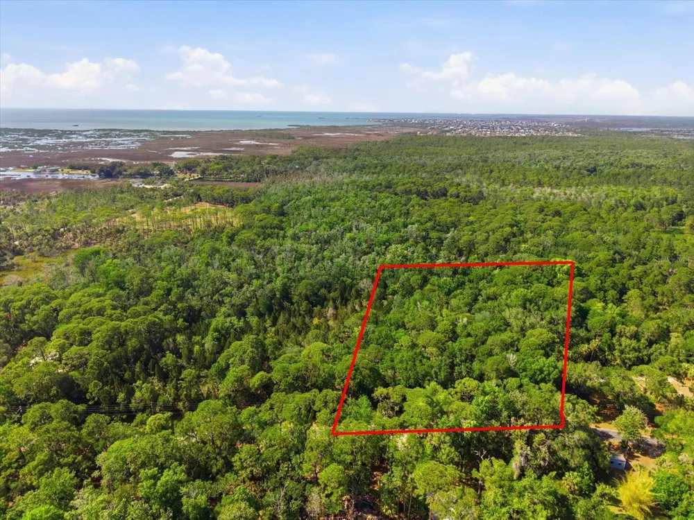 OSOWAW BOULEVARD Spring Hill, FL 34607