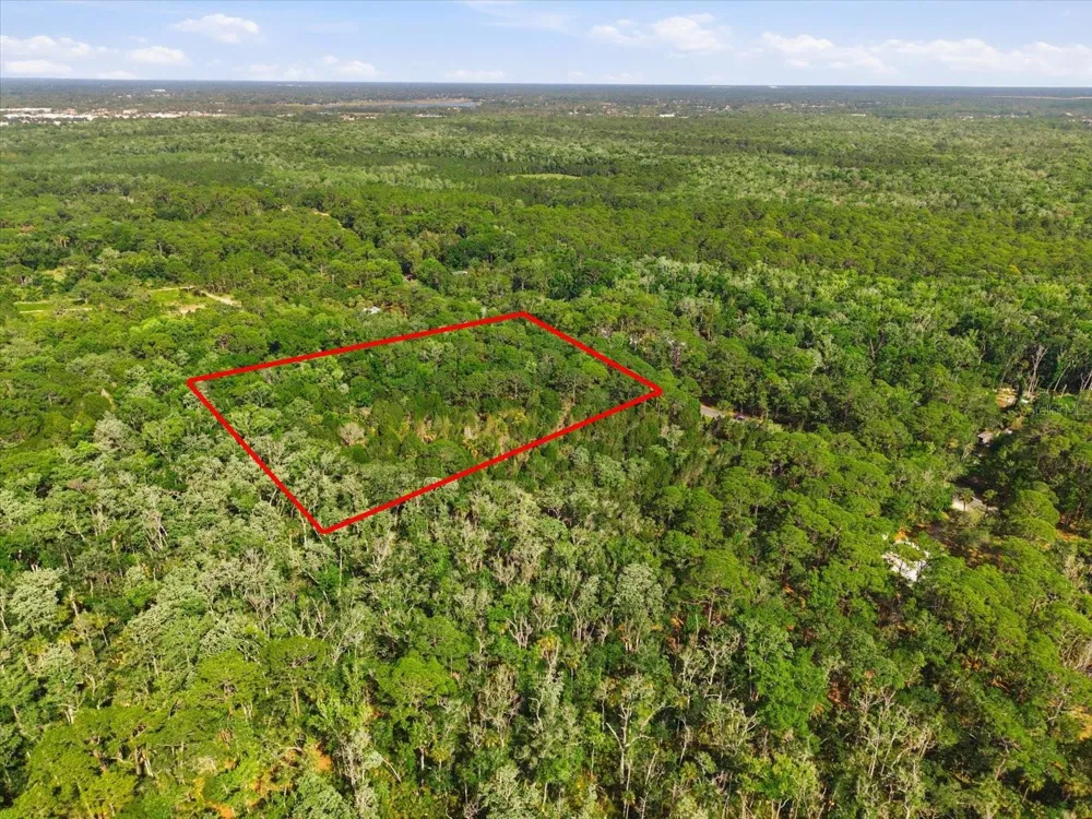 OSOWAW BOULEVARD Spring Hill, FL 34607