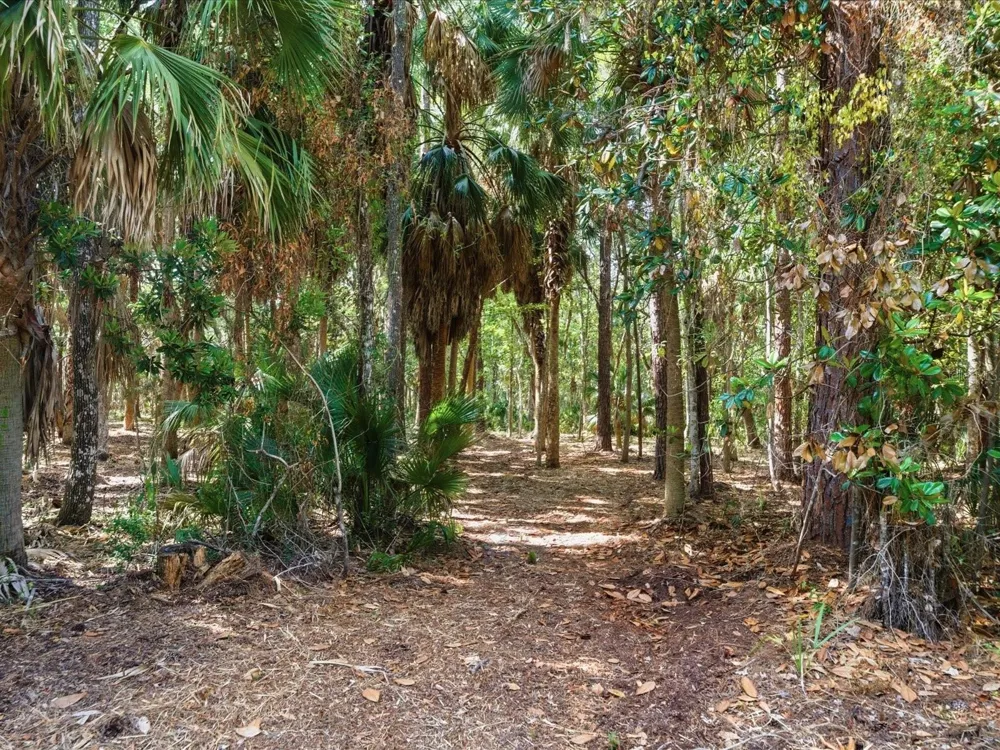 OSOWAW BOULEVARD Spring Hill, FL 34607
