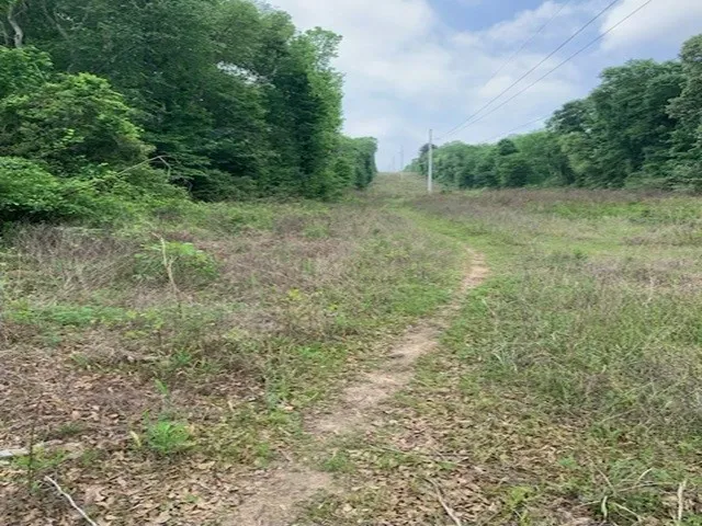 County Road 1113 Tyler, TX 75703