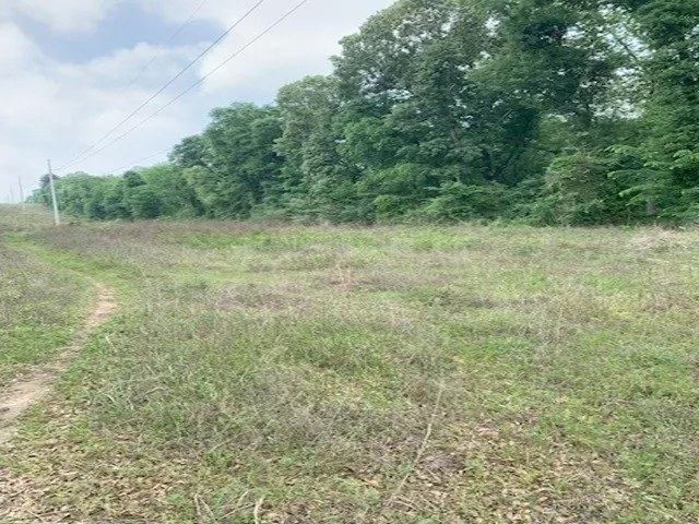 County Road 1113 Tyler, TX 75703