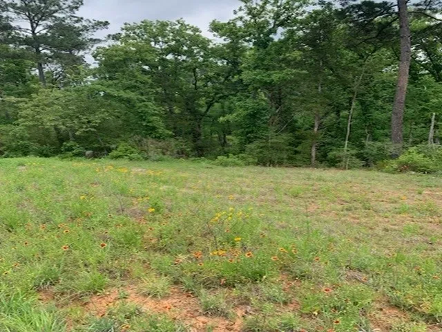County Road 1113 Tyler, TX 75703