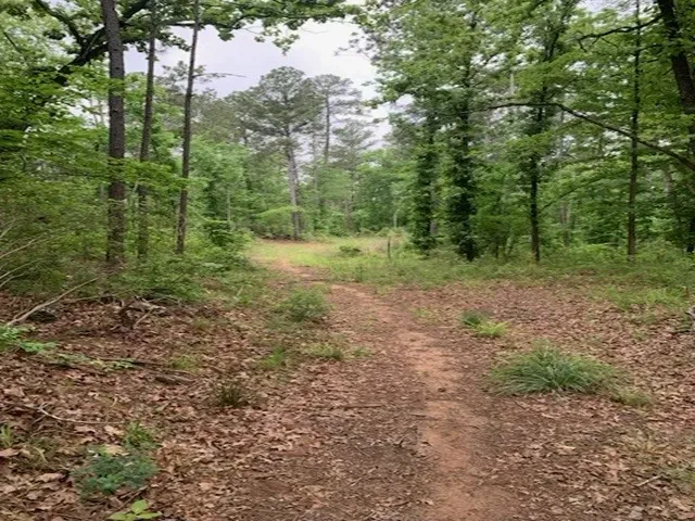 County Road 1113 Tyler, TX 75703