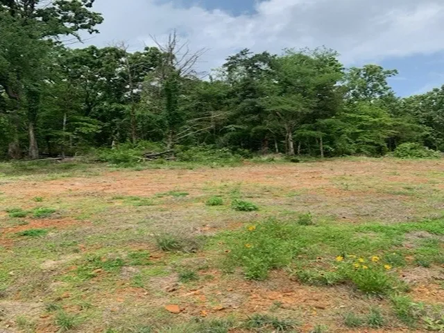 County Road 1113 Tyler, TX 75703