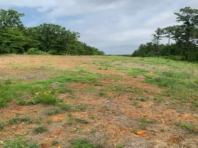 County Road 1113 Tyler, TX 75703