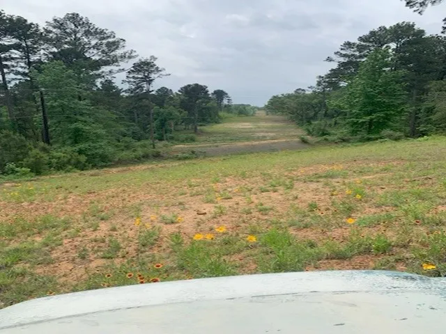 County Road 1113 Tyler, TX 75703