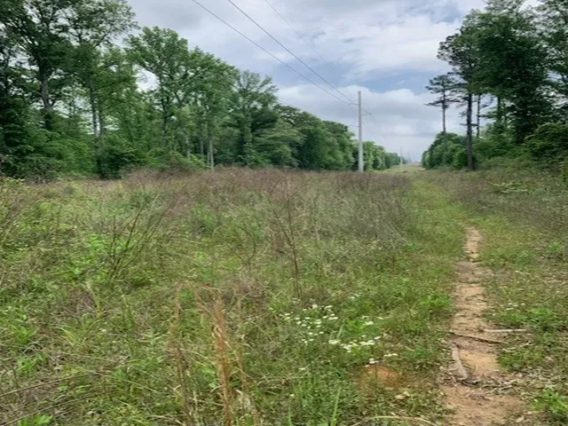 County Road 1113 Tyler, TX 75703