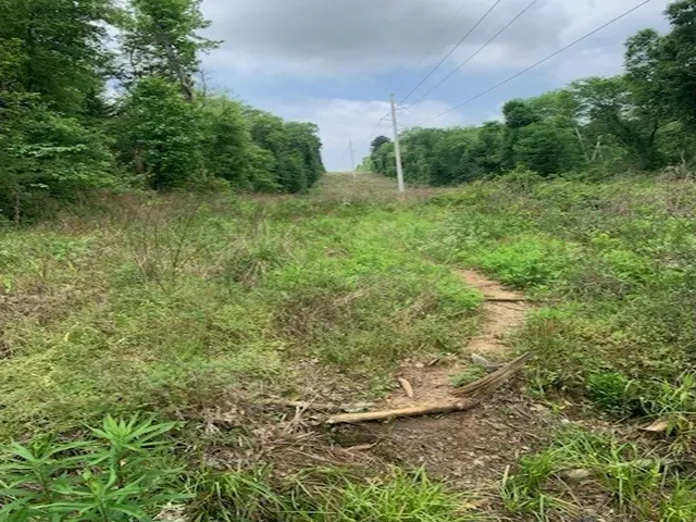 County Road 1113 Tyler, TX 75703