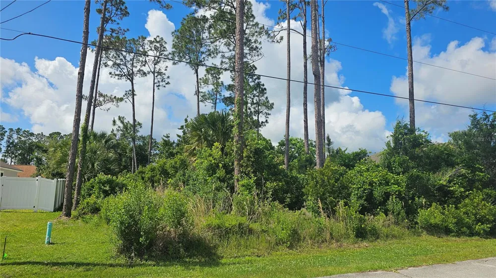 13 ROBIN HOOD LANE Palm Coast, FL 32164