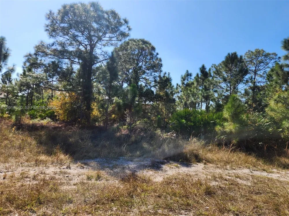 706 JOHNS AVE Lehigh Acres, FL 33972