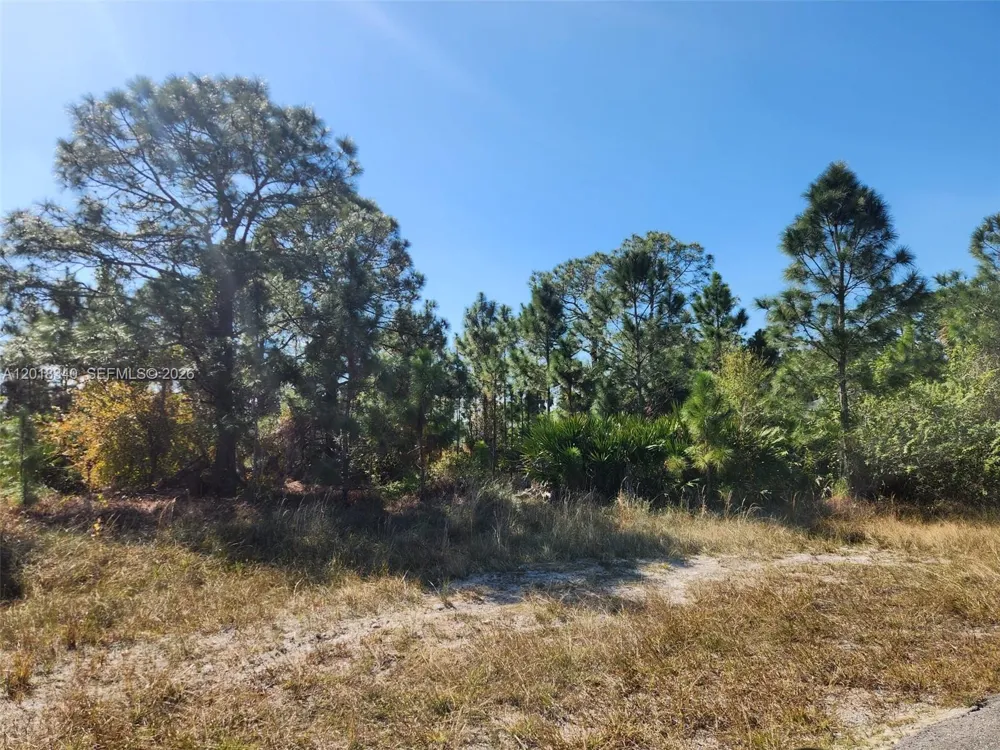 706 JOHNS AVE Lehigh Acres, FL 33972