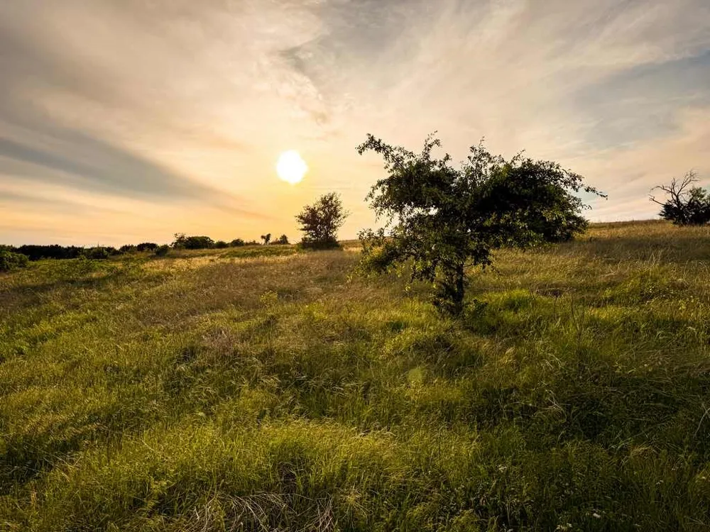 County Road 96 Purmela, TX 76566