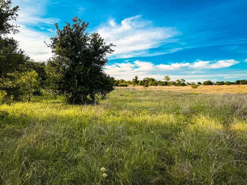 County Road 96 Purmela, TX 76566