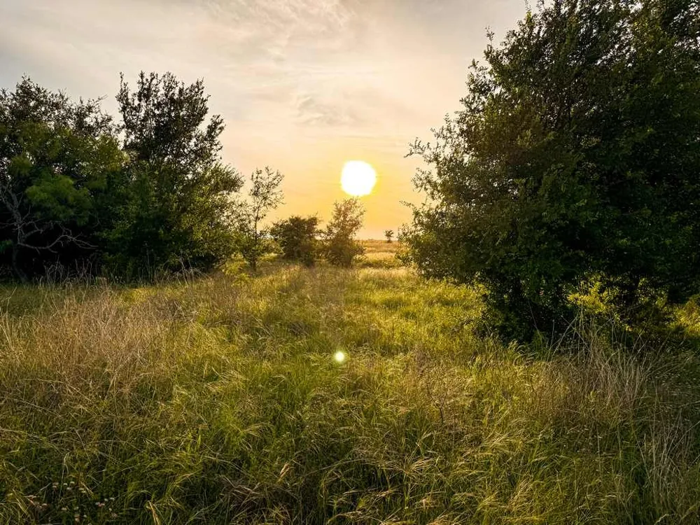 County Road 96 Purmela, TX 76566