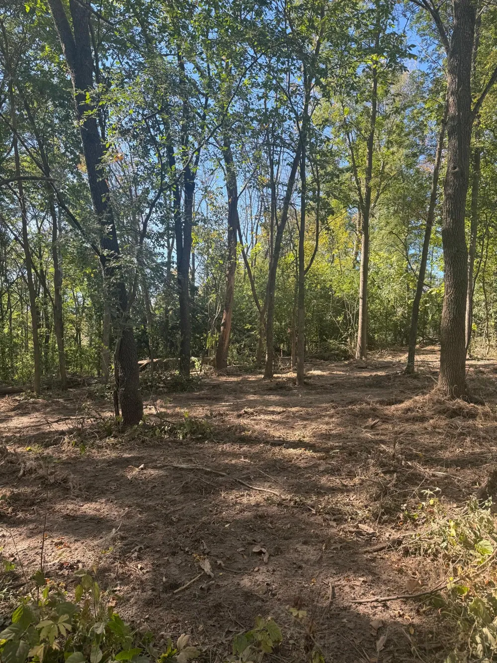 6167 Lake Drive Prior Lake, MN 55372