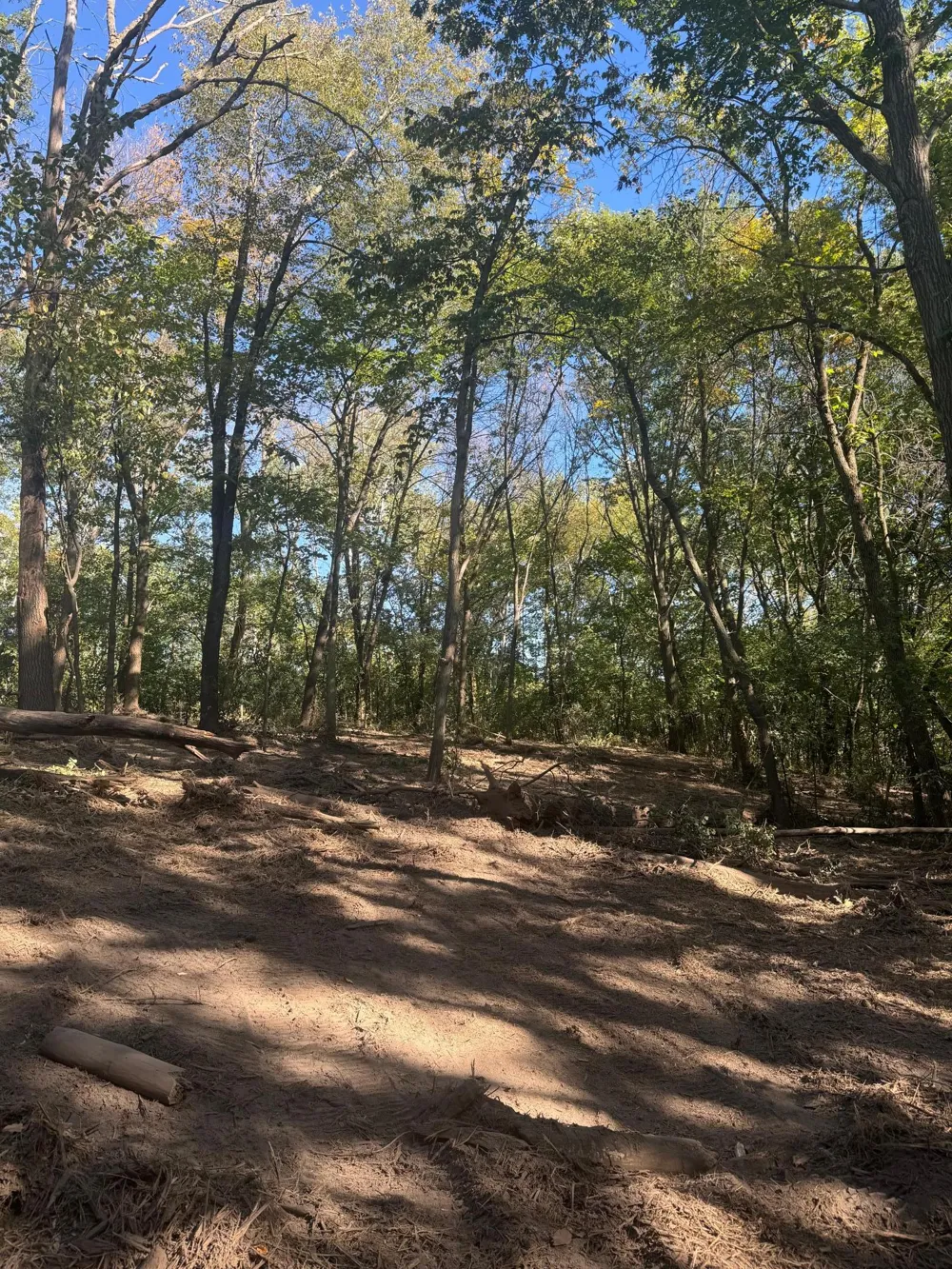 6167 Lake Drive Prior Lake, MN 55372