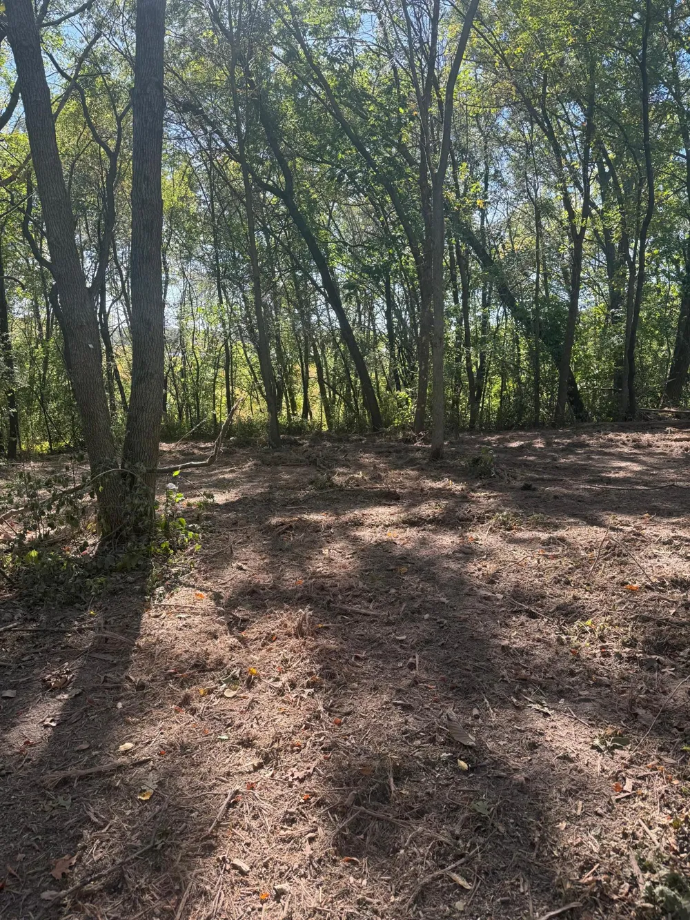 6167 Lake Drive Prior Lake, MN 55372