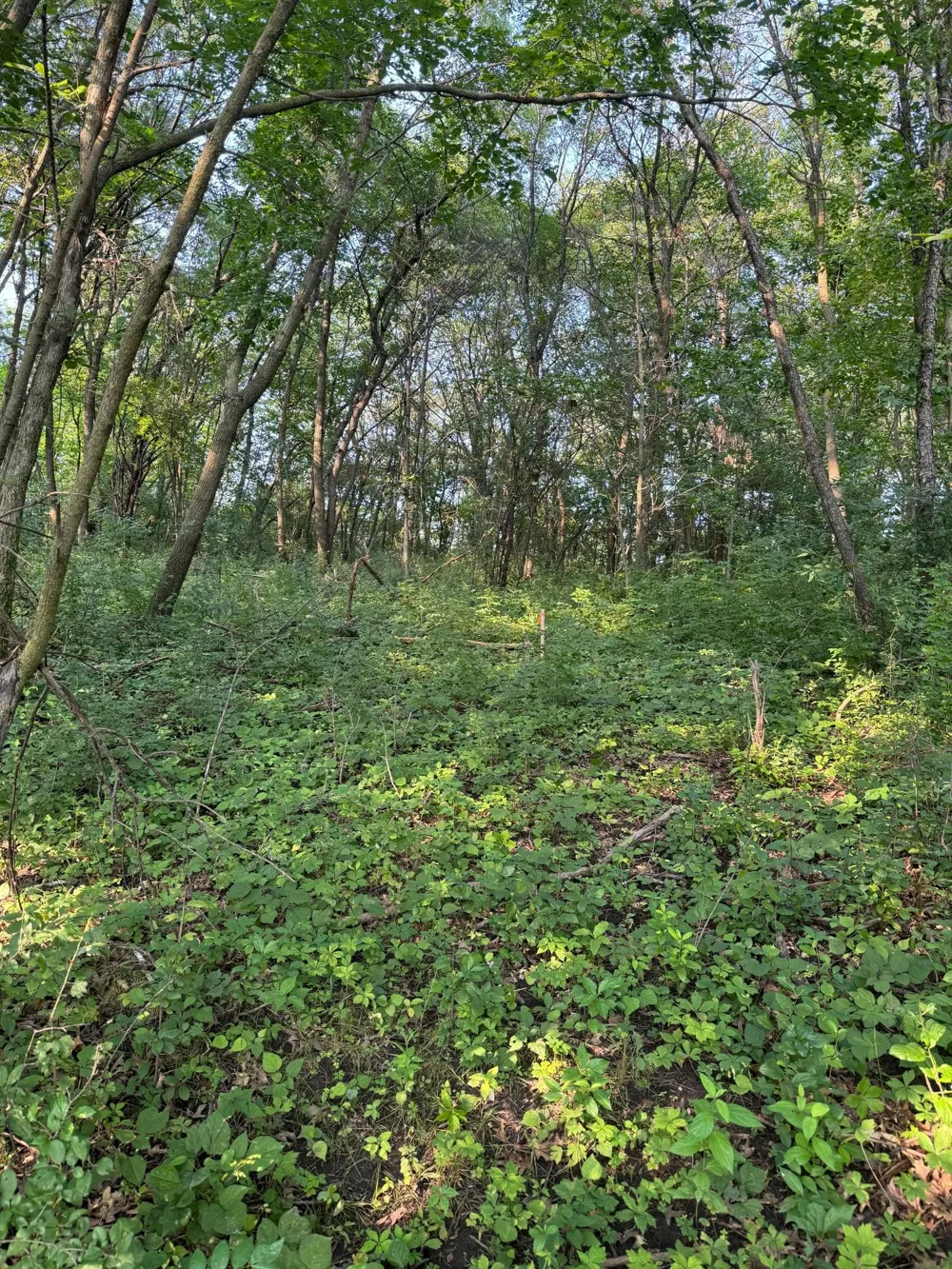 6167 Lake Drive Prior Lake, MN 55372