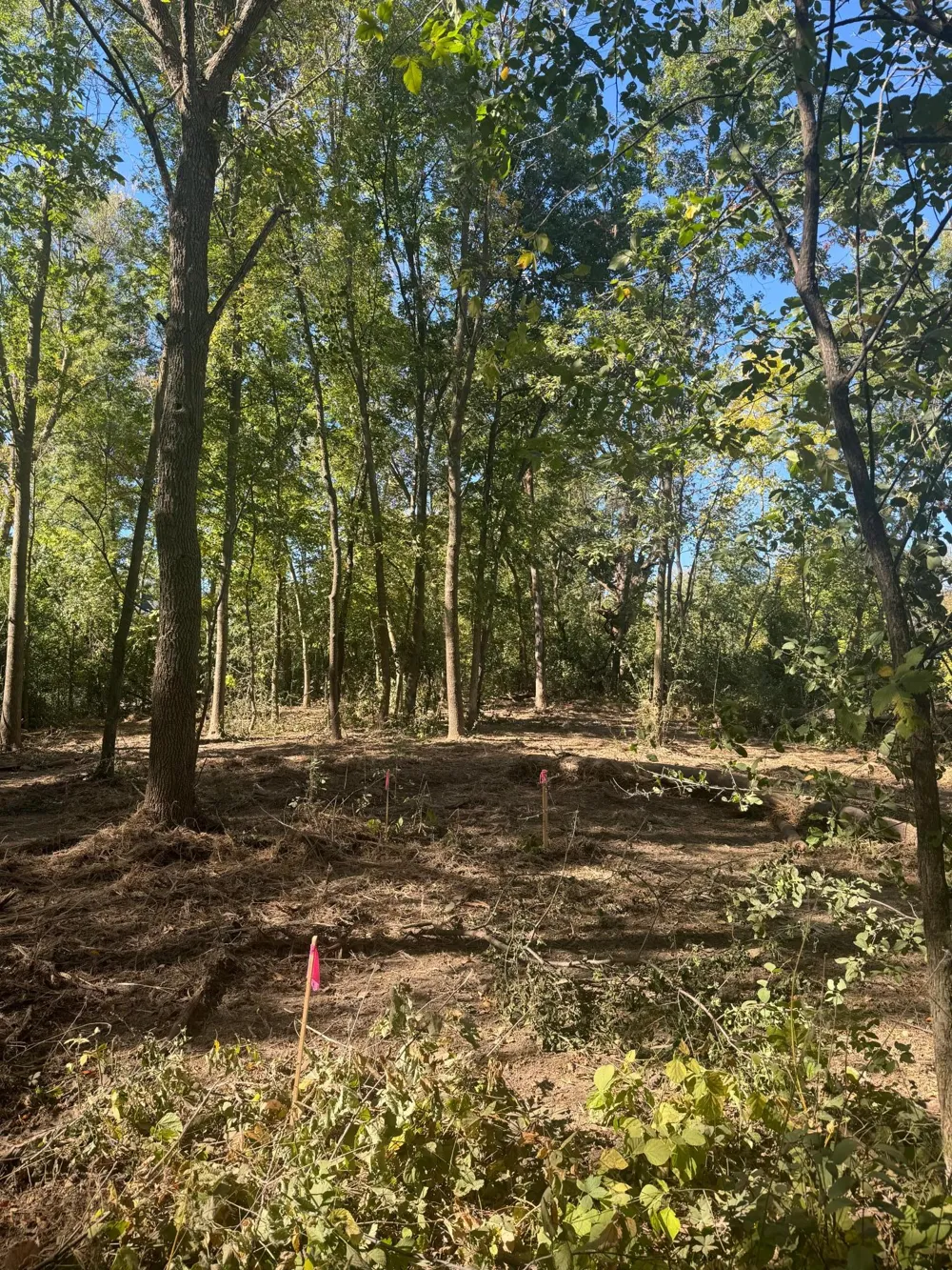6167 Lake Drive Prior Lake, MN 55372