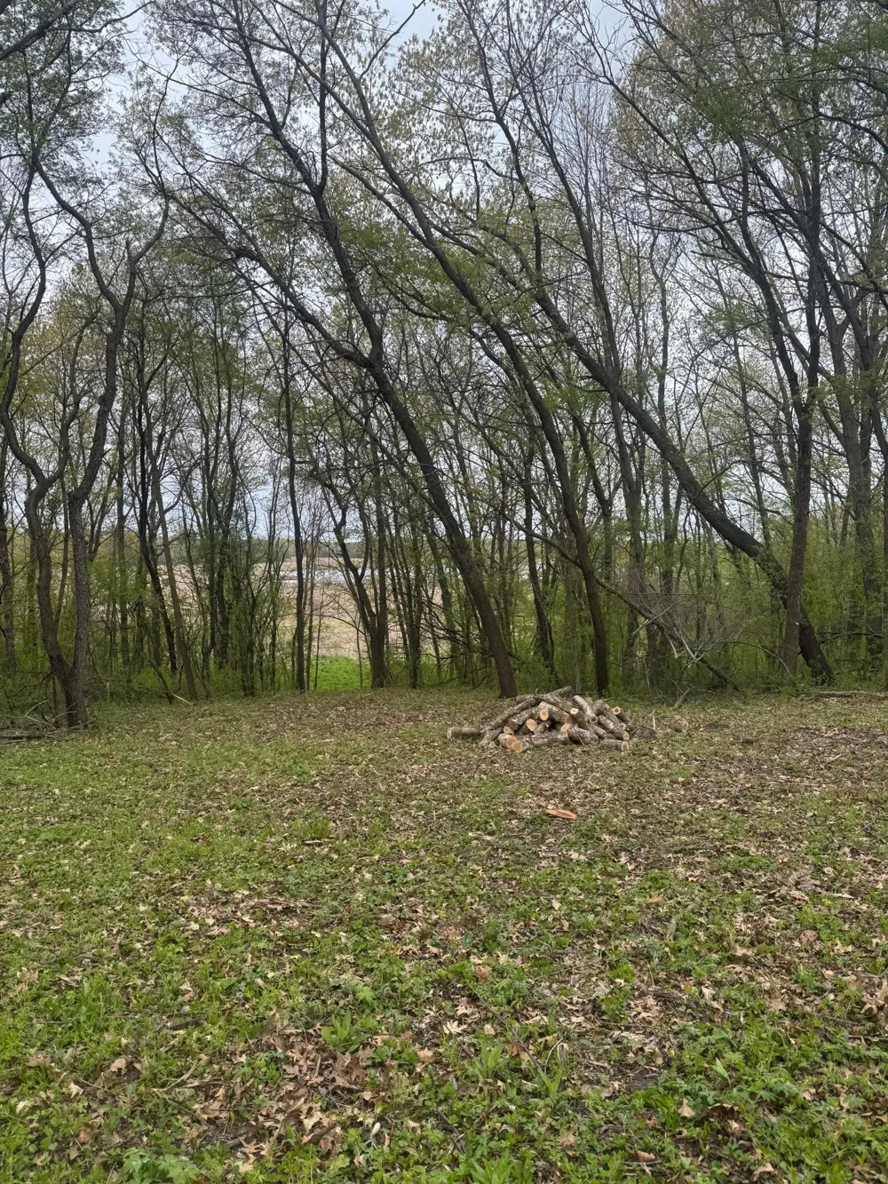 6167 Lake Drive Prior Lake, MN 55372